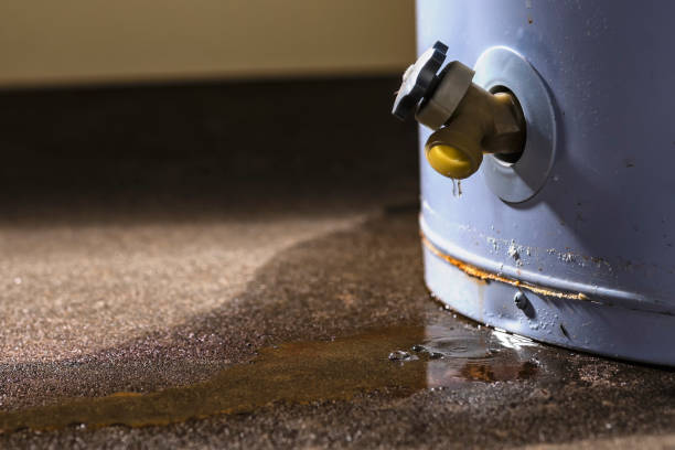 Best Water damage cleanup near me  in Sarasota Springs, FL