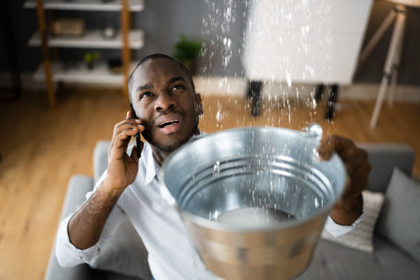 Best Carpet water damage restoration  in Sarasota Springs, FL