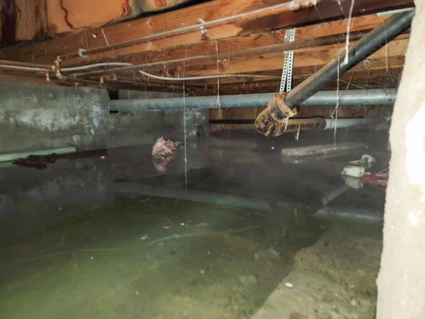 Best Flooded house restoration  in Sarasota Springs, FL