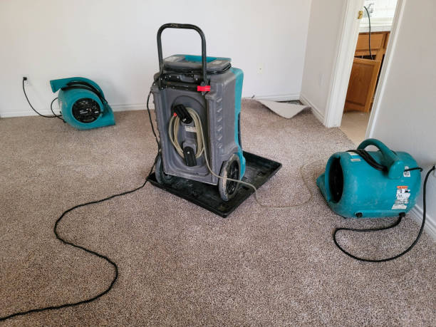Best Carpet water damage restoration  in Sarasota Springs, FL