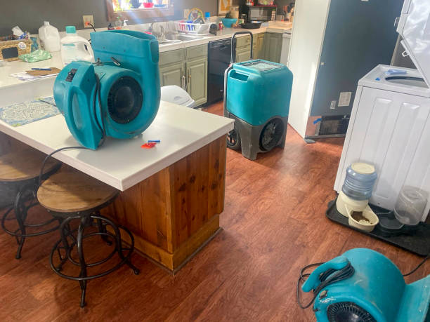 Best Residential water damage restoration  in Sarasota Springs, FL