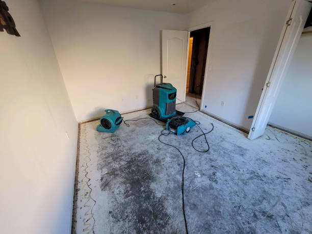 Best Local water damage restoration  in Sarasota Springs, FL