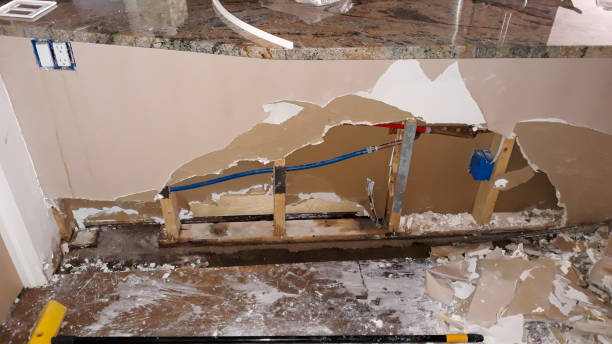 Carpet water damage restoration in FL