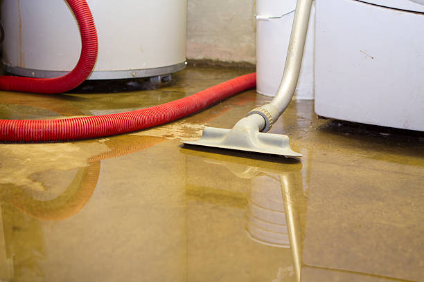Best Flood restoration services  in Sarasota Springs, FL