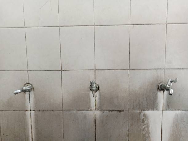 Best Professional water damage repair  in Sarasota Springs, FL