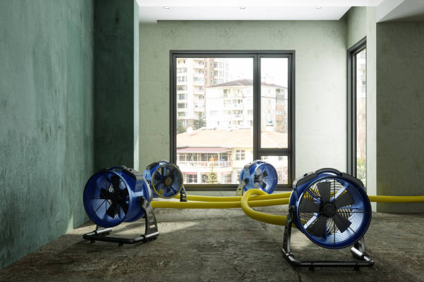 Best Ceiling water damage repair  in Sarasota Springs, FL